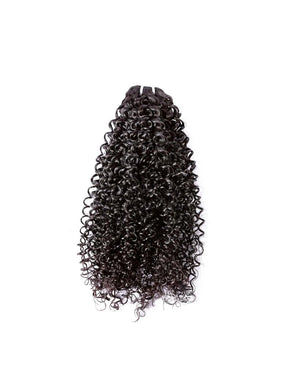 Burmse Hair Curly Wave Hair Bundles